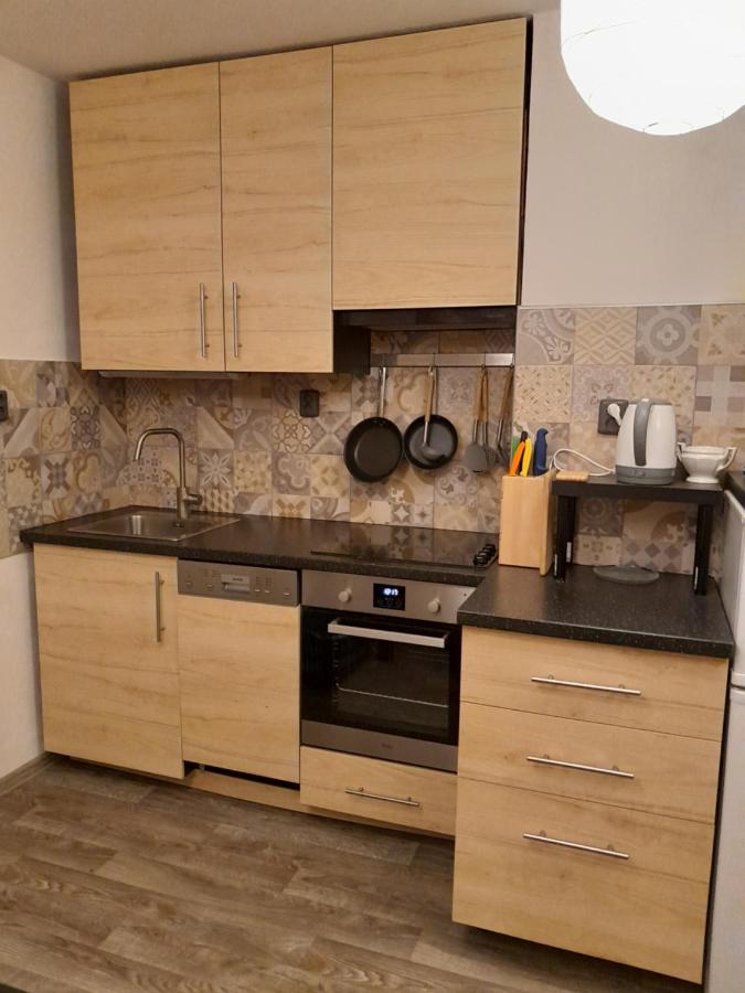Apartment Riegerovka Cheb Exterior foto