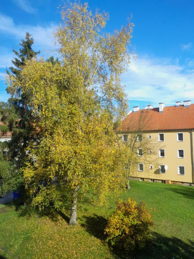 Apartment Riegerovka Cheb Exterior foto